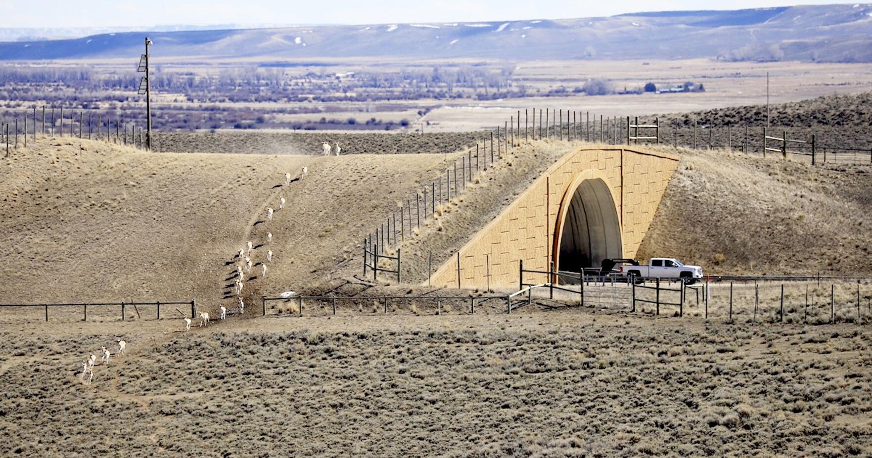 Once again, drilling advances in Path of the Pronghorn - Vimarsana News