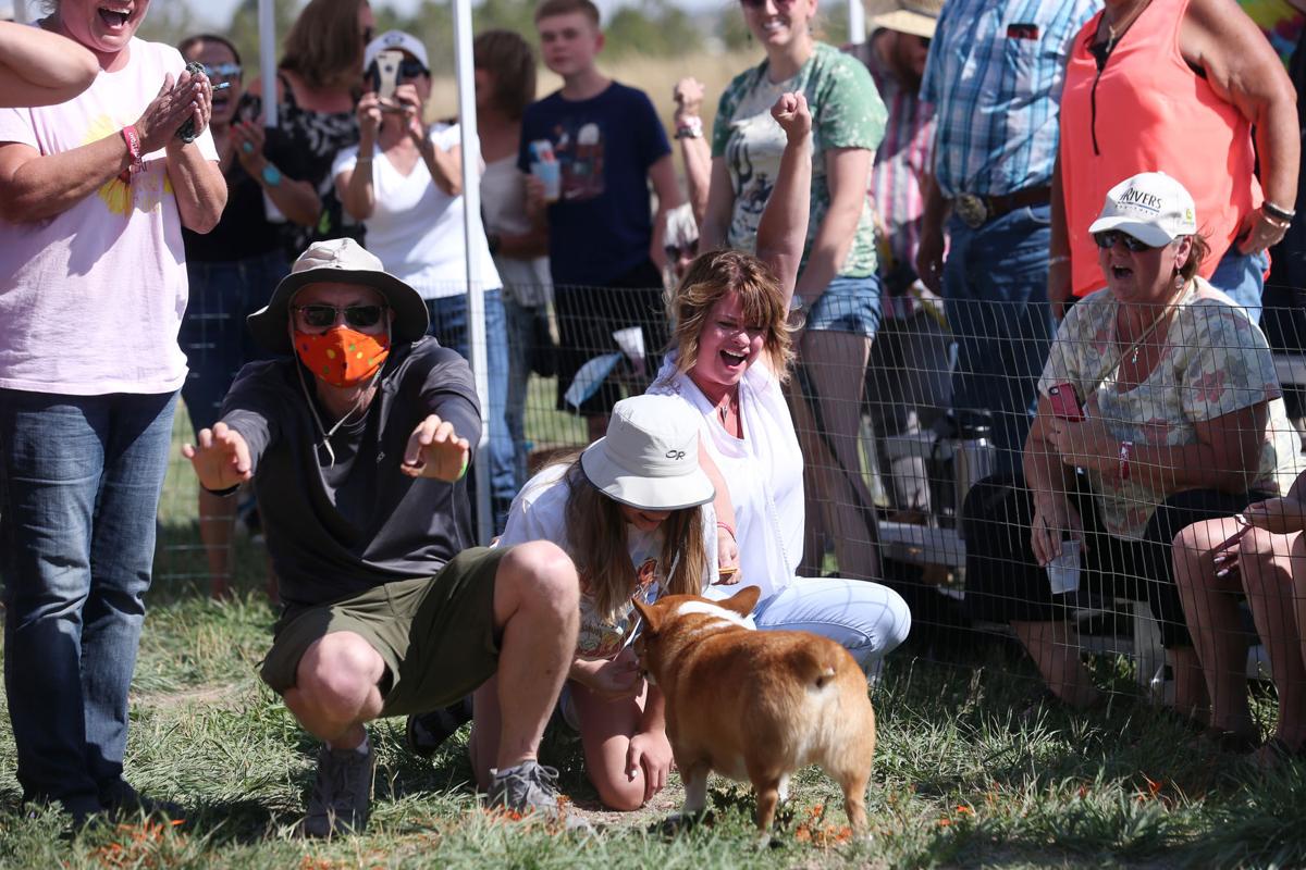 20200905-feat-corgiderby-mc-12.JPG