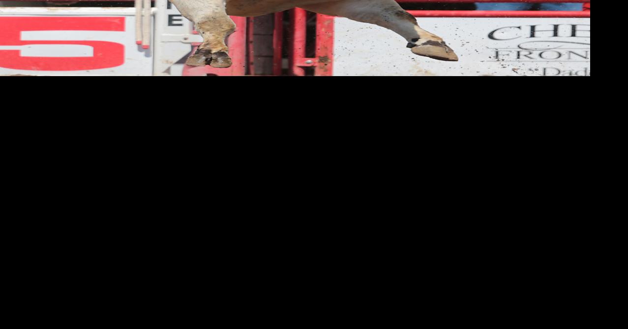 Joe, Josh Frost continue family legacy in rodeo | Rodeo | wyomingnews.com