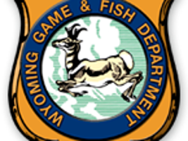 Game and Fish Department unveils mapping project | From The Wire