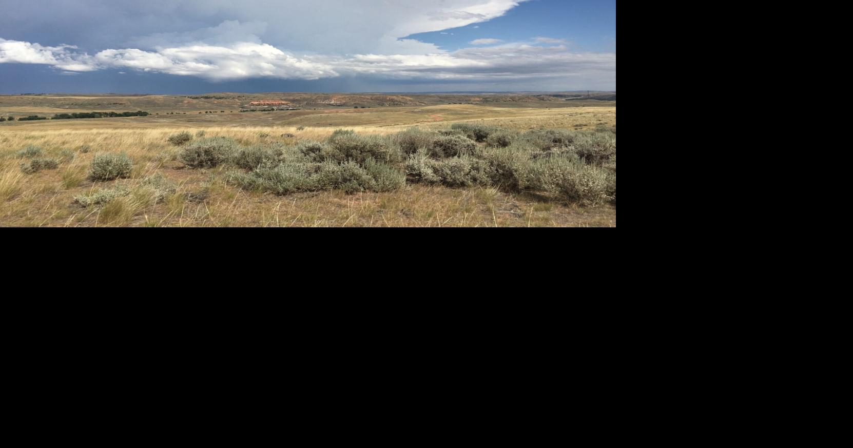 Mining company faces class-action lawsuit, boasts best balance sheet in company history