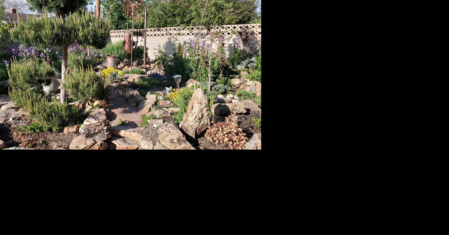 Rock 'lawn' blooms in Cheyenne neighborhood | Outdoors | wyomingnews.com