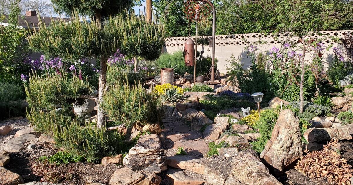 Rock 'lawn' blooms in Cheyenne neighborhood | Outdoors | wyomingnews.com Rock 'lawn' blooms in Cheyenne neighborhood | Outdoors | wyomingnews.com