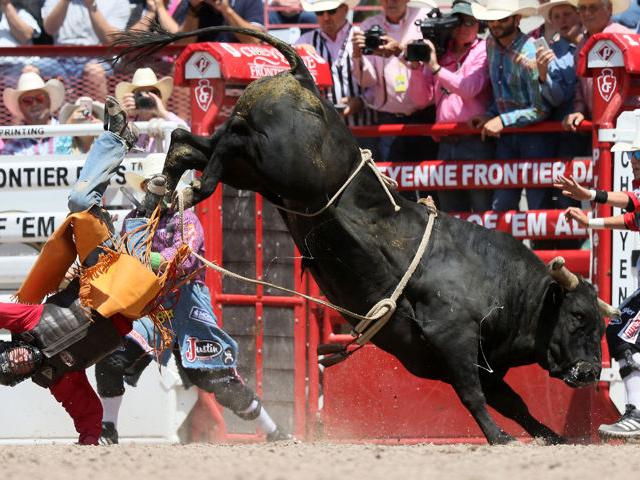 Concussions A Major Issue In The Rodeo World Local News Wyomingnews Com List Of Bull Riders Killed 2022