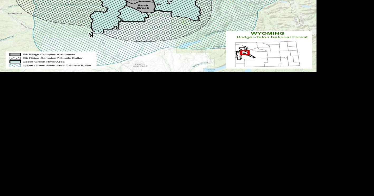 Judge OKs grazing on controversial Bridger-Teton allotments, for now