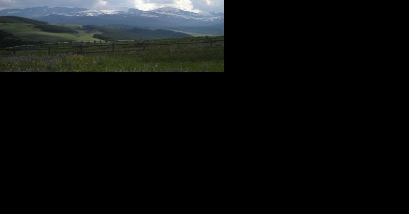 State forester: Rain a blessing and a curse - Vimarsana News
