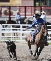 Reo Lohse tops CFD steer roping after two rounds