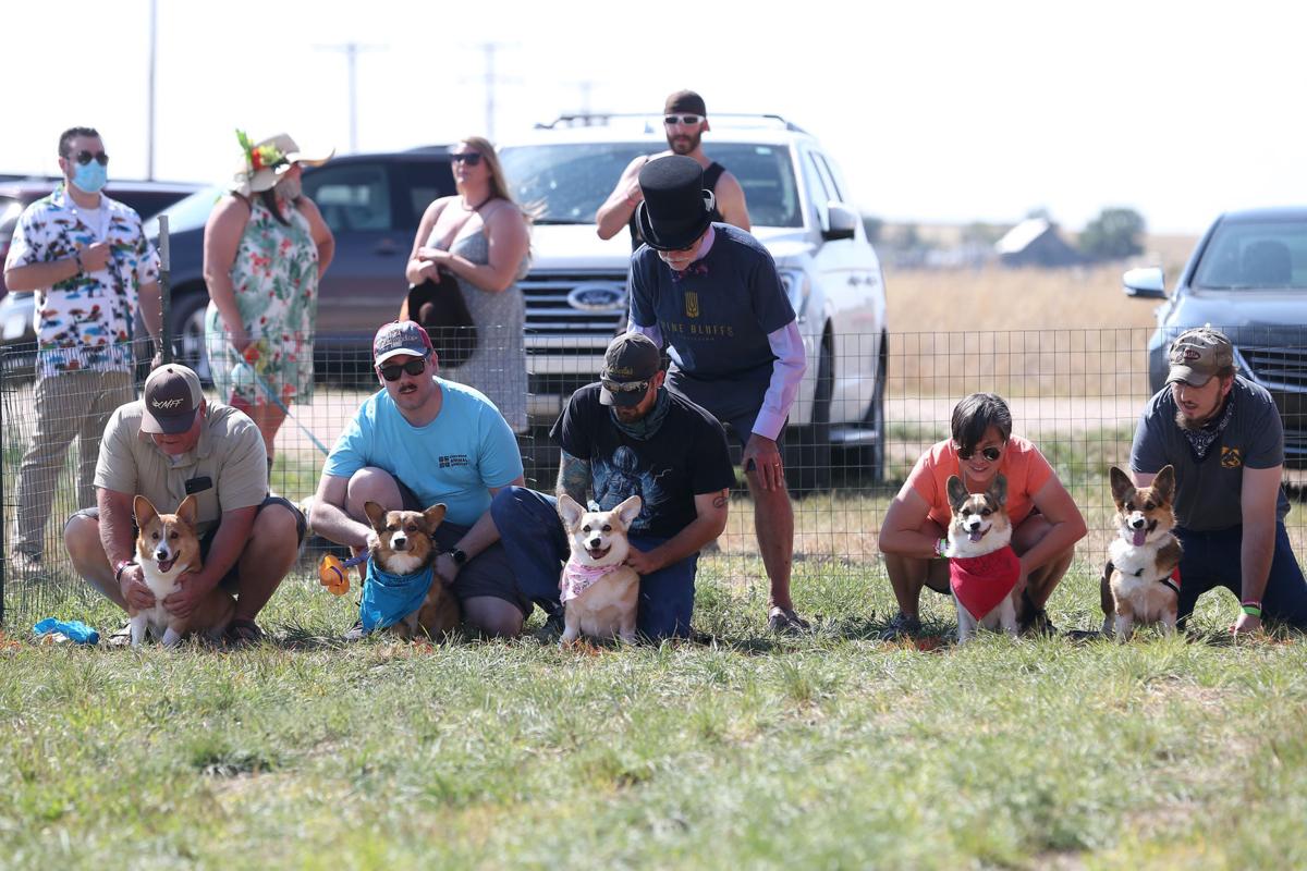 20200905-feat-corgiderby-mc-9.JPG