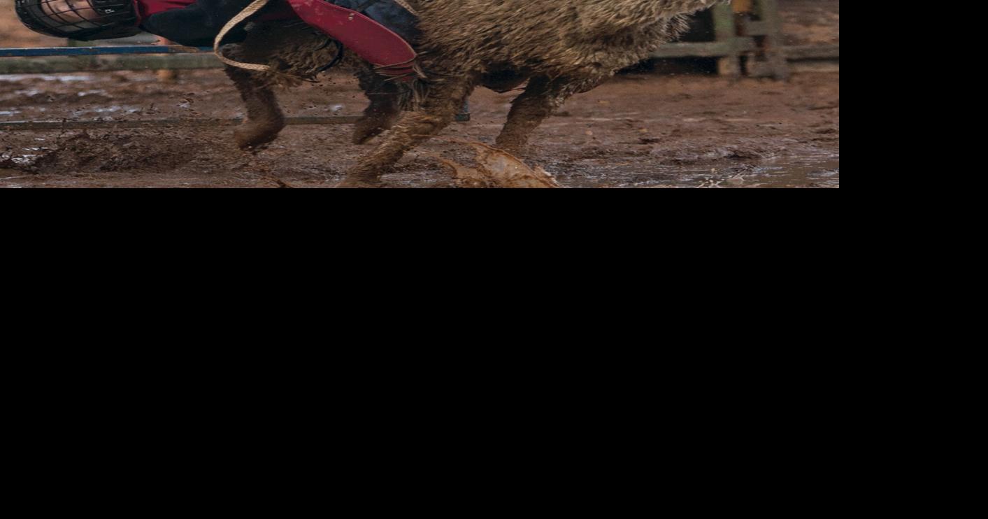 Junior Bull Riding takes center stage for Laramie Jubilee Days rodeo ...