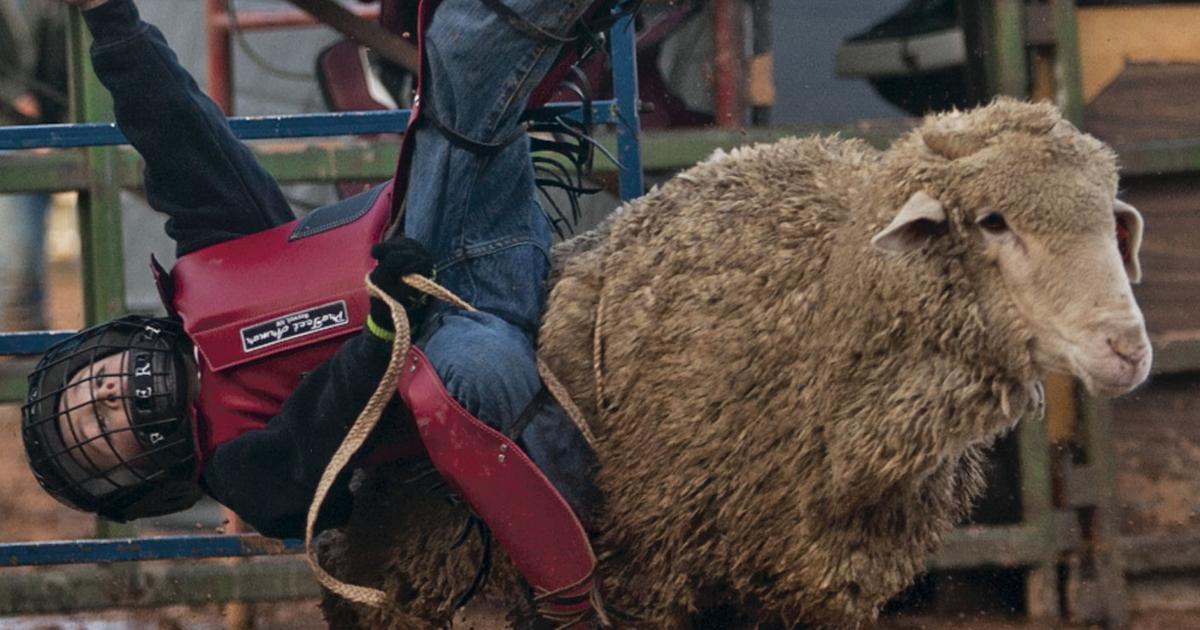 Kids Bull Riding Rodeo Junior Bull Riding takes center stage for Laramie Jubilee Days rodeo ...