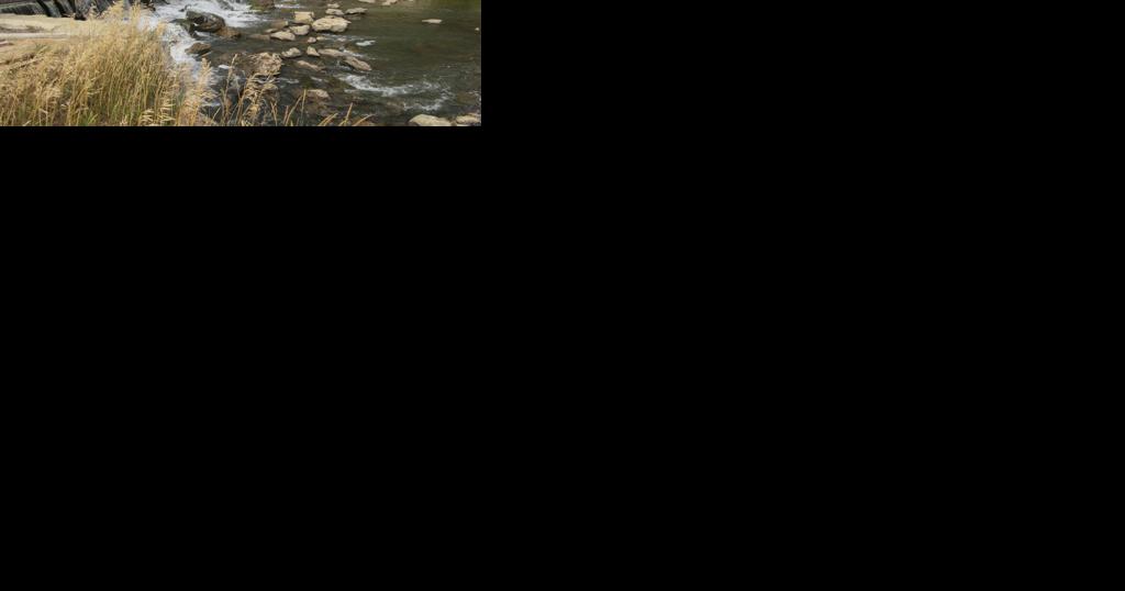 Dowlin Diversion replacement favors fish passage - Vimarsana News