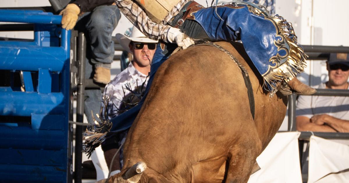 Matt Austin Bull Riding Texas rookie Burrus wins Mr. T Xtreme Bull Riding | Laramie Jubilee ...