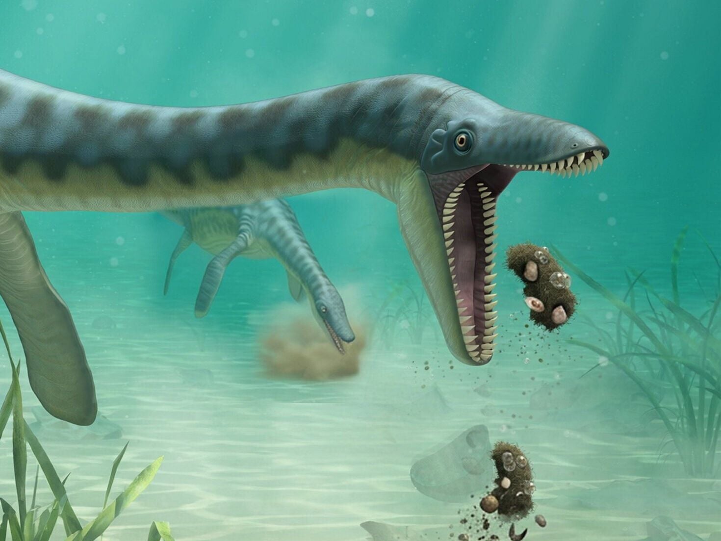 New research reveals sick sea monsters swam to shore to vomit ...