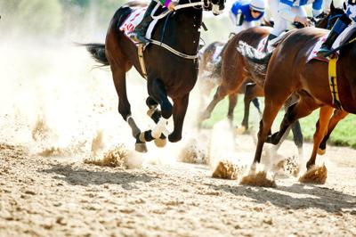 horse racing STOCK