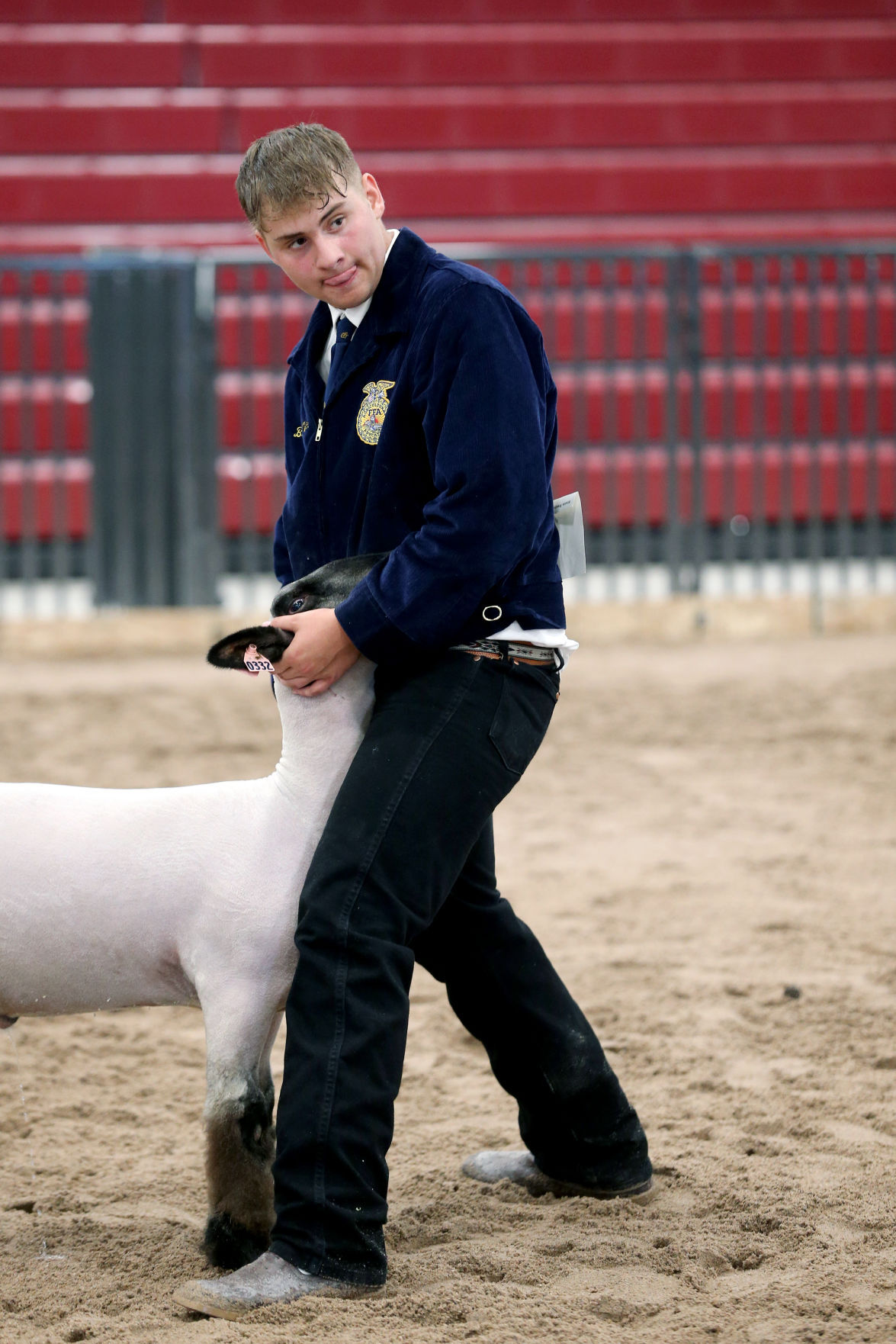 20200805-feat-fairsheep-mc-7.JPG