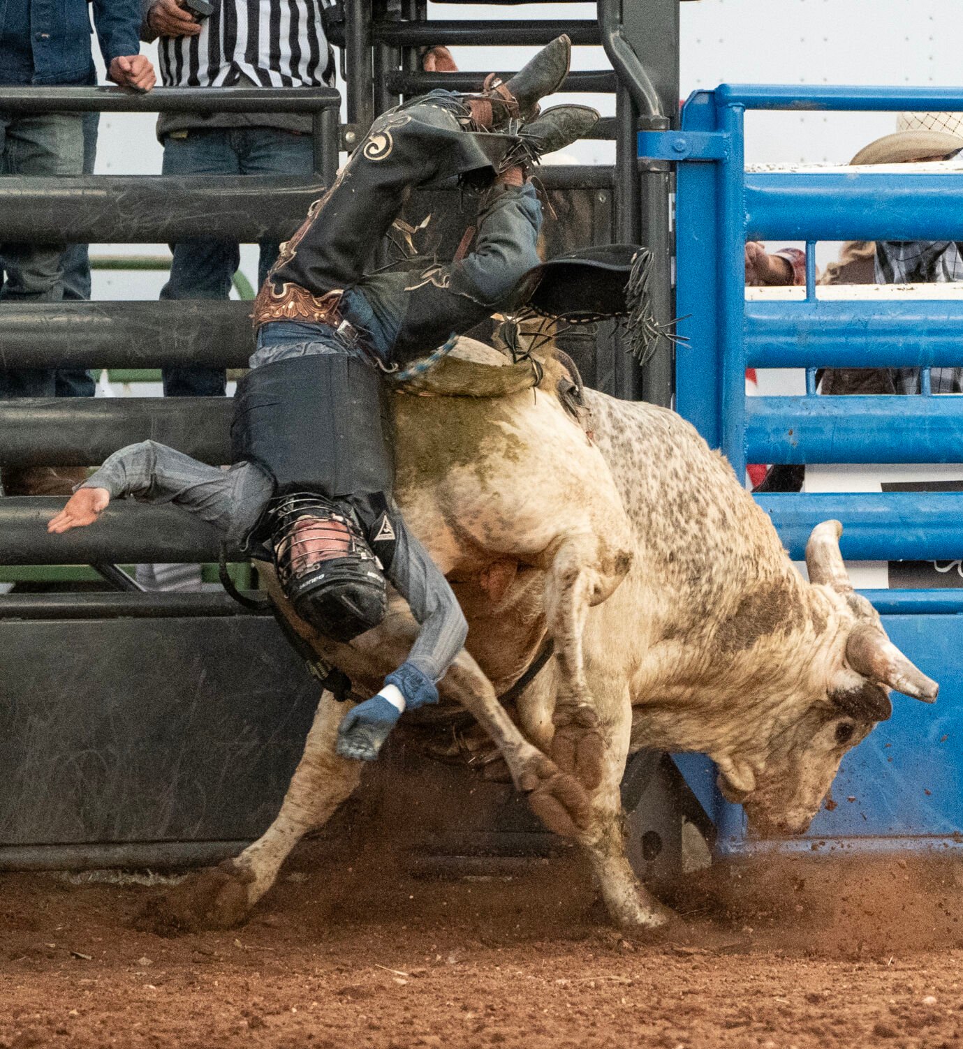 Wyoming Native Clayton Savage Wins Jubilee Days Mr. T Xtreme Bull ...