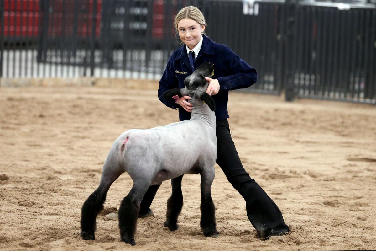 20200805-feat-fairsheep-mc-1.JPG