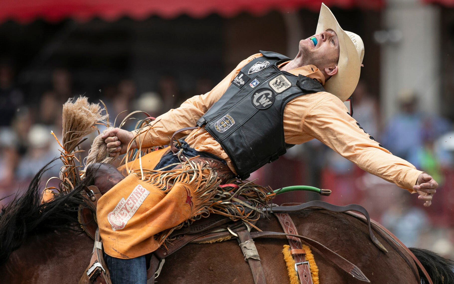 Brody Cress is Cheyenne's cowboy | Rodeo | wyomingnews.com, image size:1821x1139