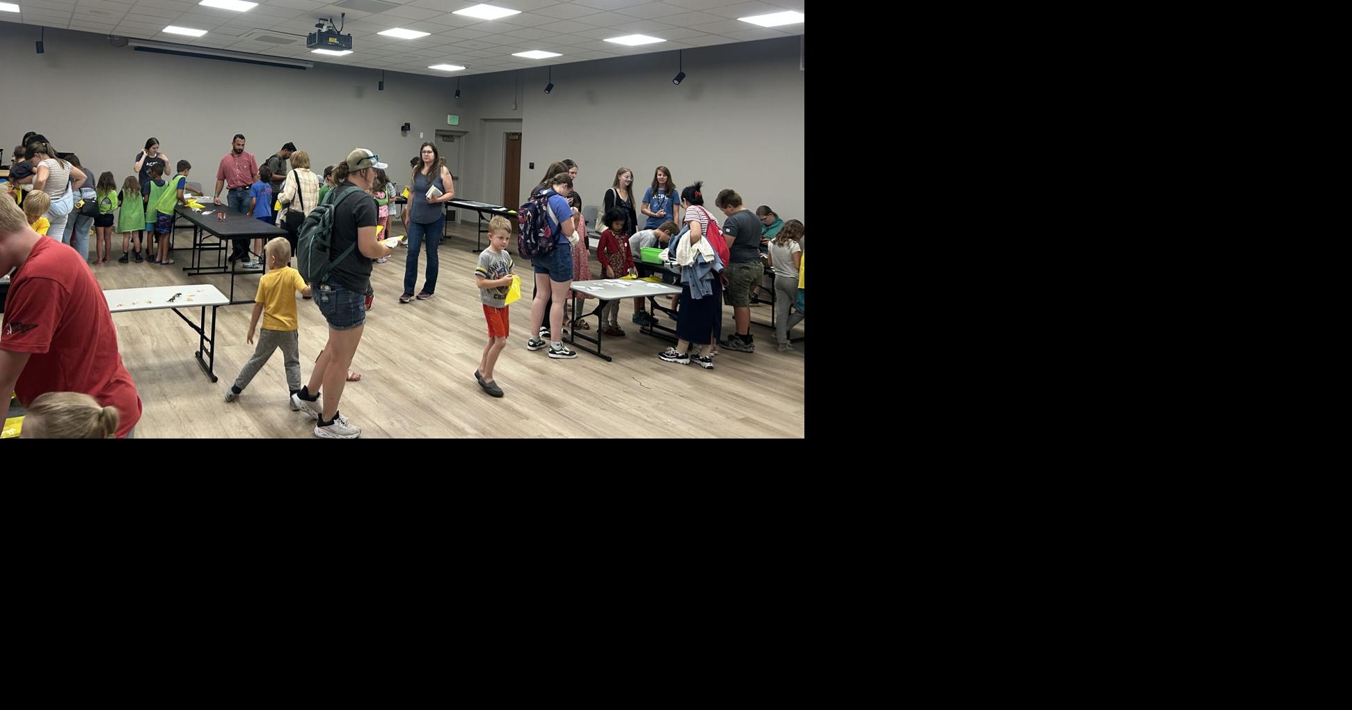 Albany County Public Library, UW Art Museum partner for interactive children's event