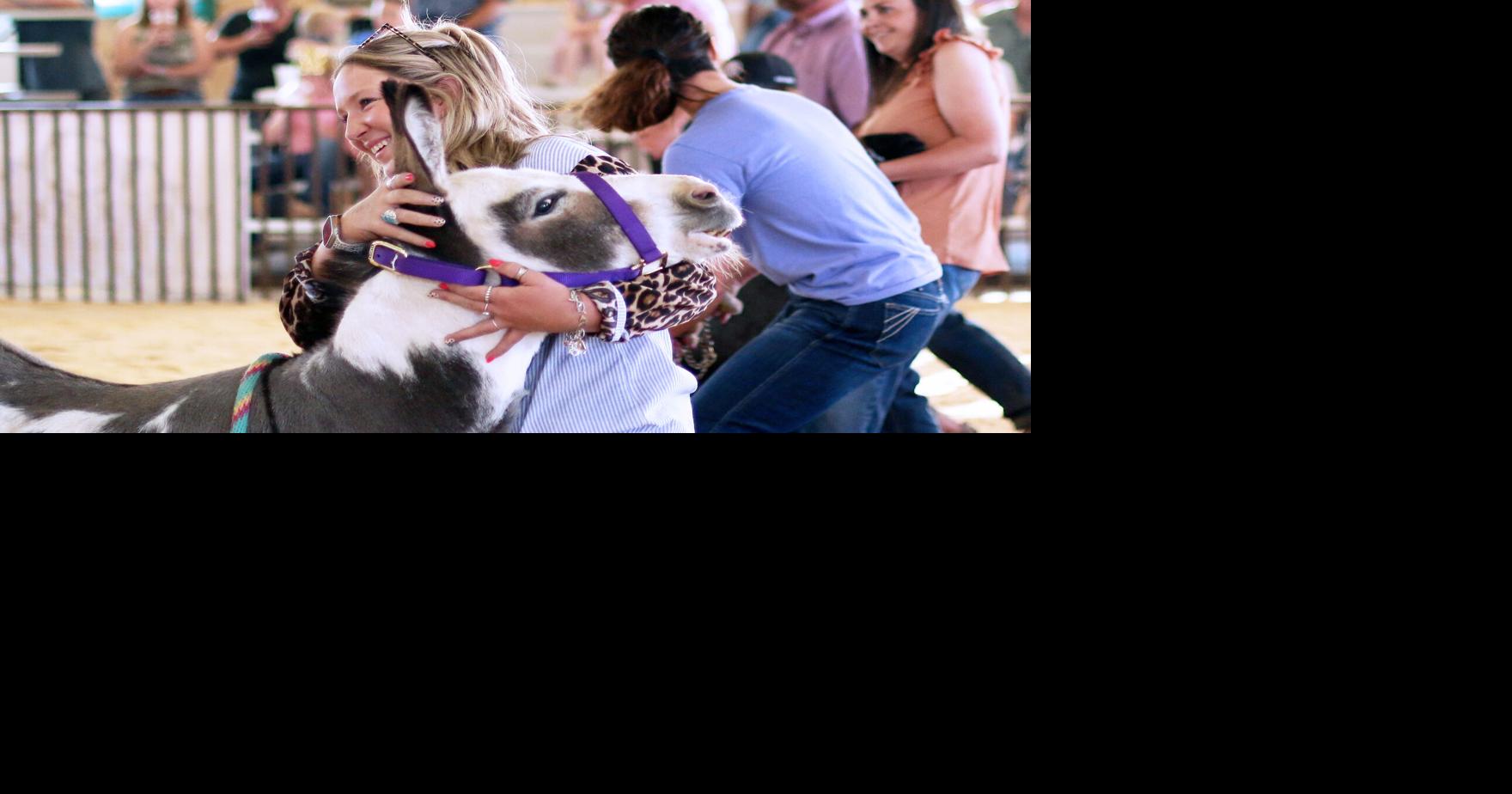 Over the Hill competitors put the 'show' in showmanship at Albany County Fair