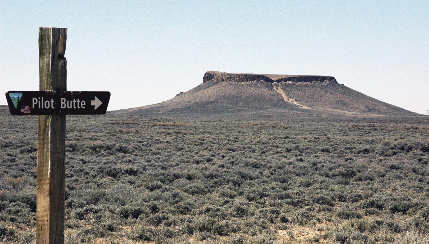 View wild horses in all their majestic beauty on the Pilot Butte Wild