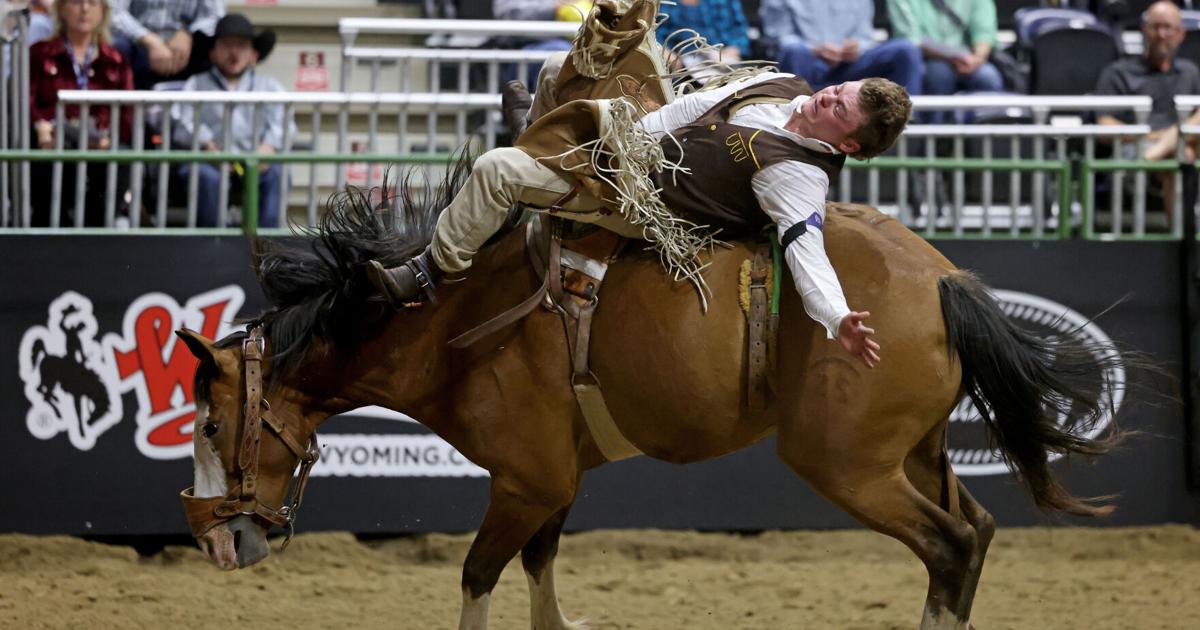 Cna Rodeo UW rodeo team members get on the scoreboard at CNFR | Rodeo ...
