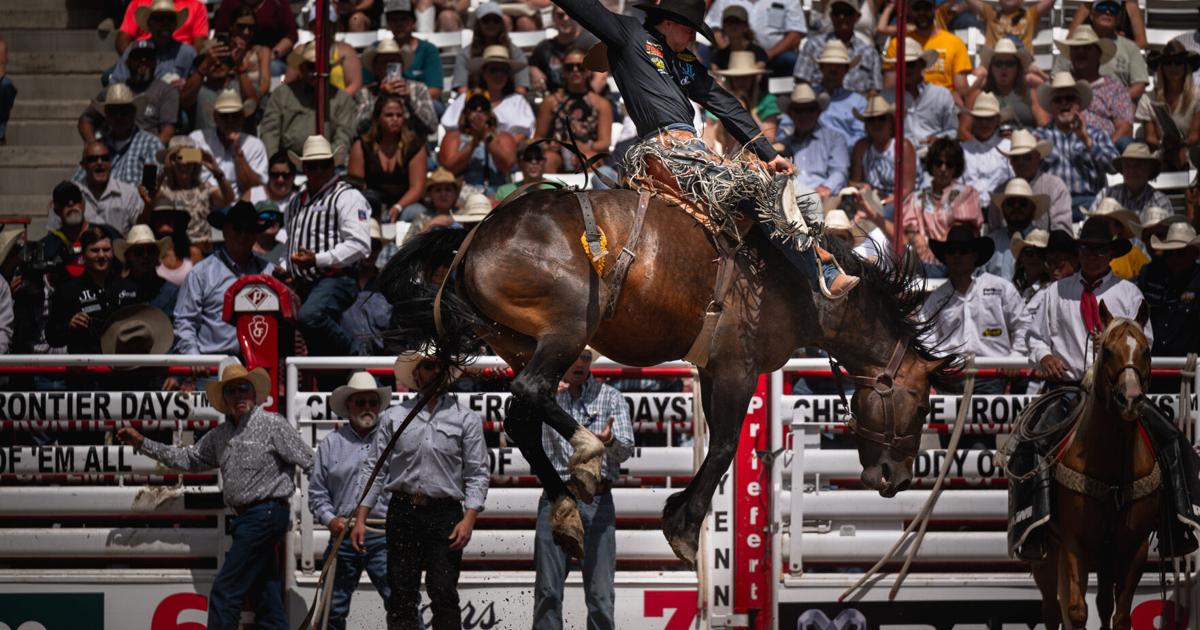 Powell saddle bronc rider Brody Wells rode momentum to second NFR berth ...