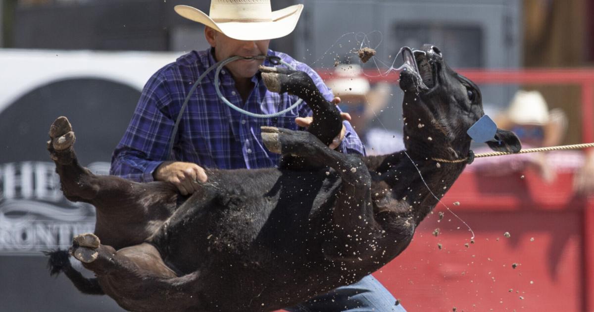 Animal Injuries From Rodeo The untold story of rodeo – avoiding animal injury at CFD | Cheyenne ...