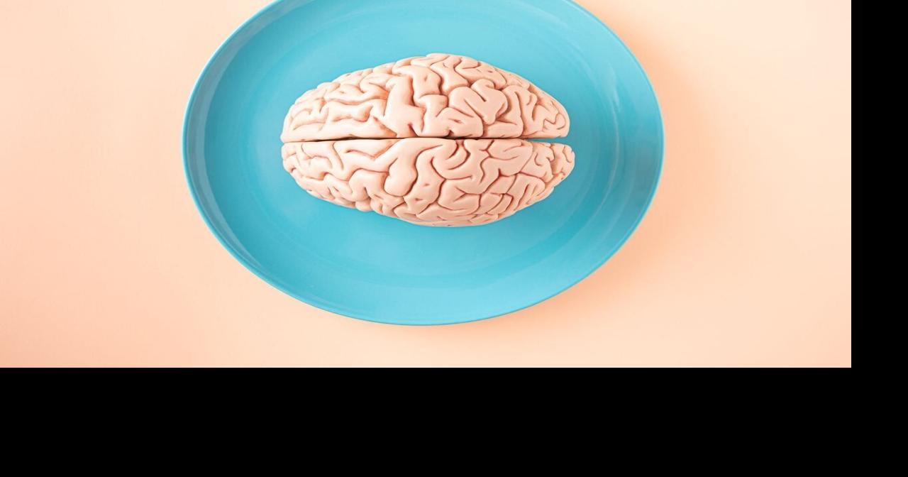 Scientists discover brain is actually two separate organs