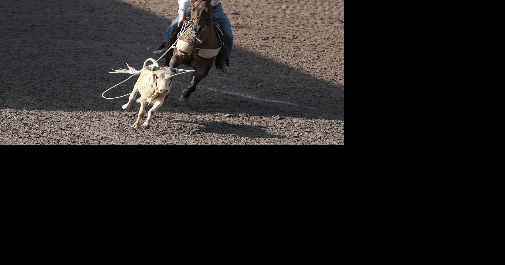Sons of roping stars shine during steer roping qualifying | Rodeo ...
