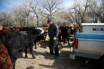 20180309 KingRanch02-bm.JPG