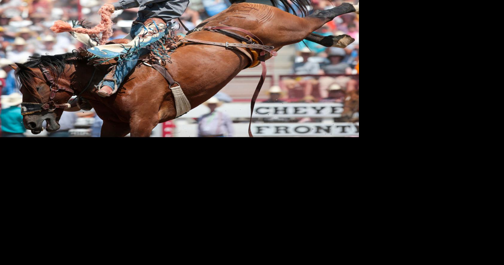 Late wins propelled Powell saddle bronc rider Brody Wells to first NFR ...