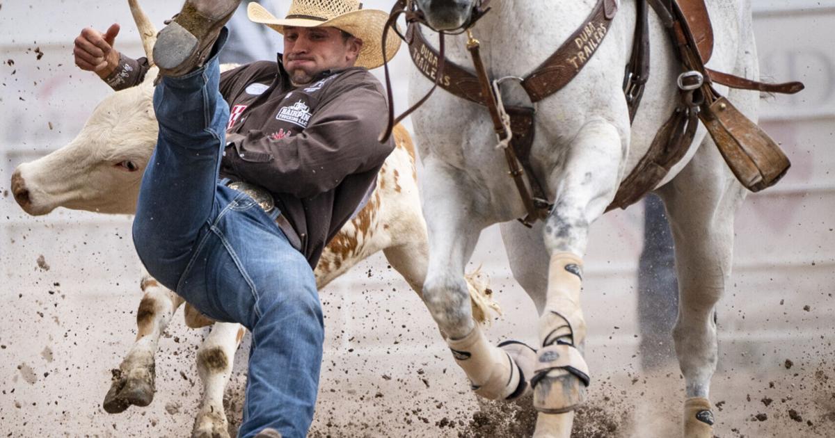 Cfd Rodeo Buckles CFD finalists are chasing glory, historic buckles | Cfd | wyomingnews.com