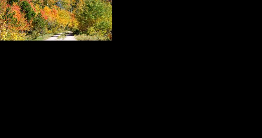 'Tis the season for leaf peeping | News - Vimarsana News
