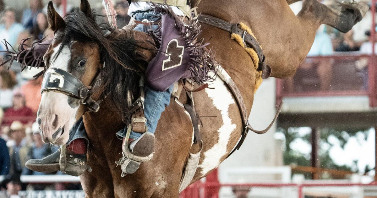 CFD tournament format has pros, cons for contestants | Rodeo ...