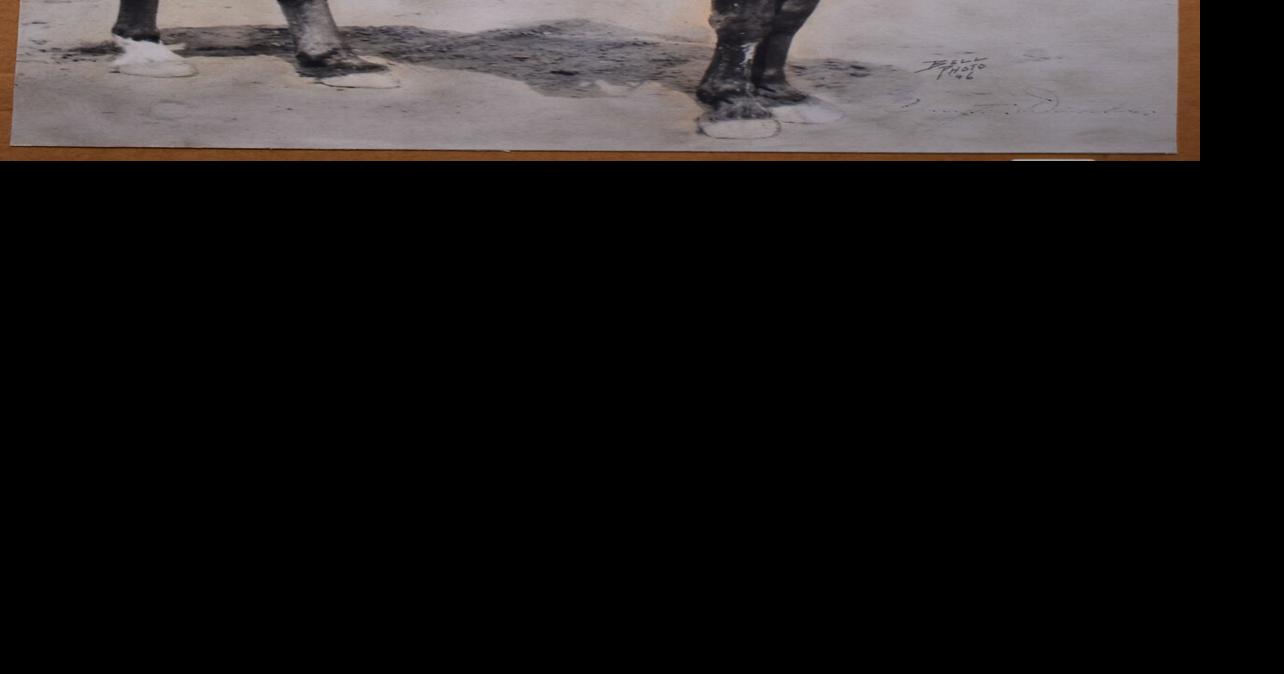 ‘The man on the bucking horse’