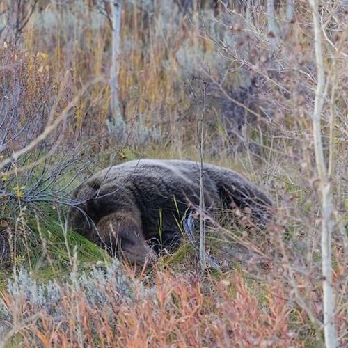 Park Service prevails over photographer in traffic dispute at site of
