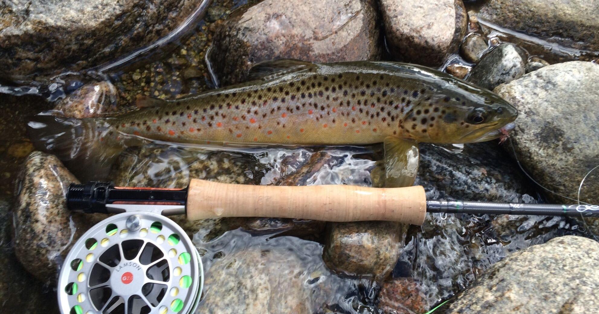 Fishing report, May 23, 2024 - Vimarsana News