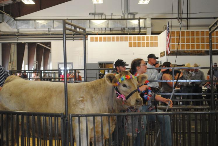 An 'udderly' good time Community gathers for 2023 Carbon County Fair