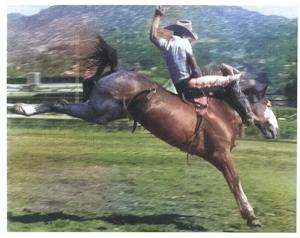 Smokey Anderson: A life lived in the saddle