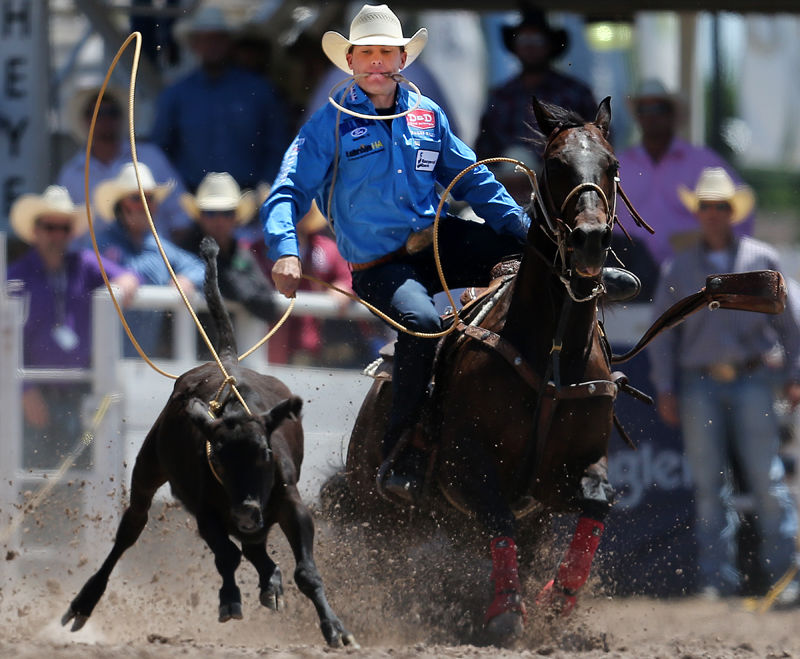 Tie Down Roping World Champion Smidt Is Back In The Hunt News Wyomingnews Com Tie Down Roping World Champion Smidt Is Back In The Hunt News Wyomingnews Com