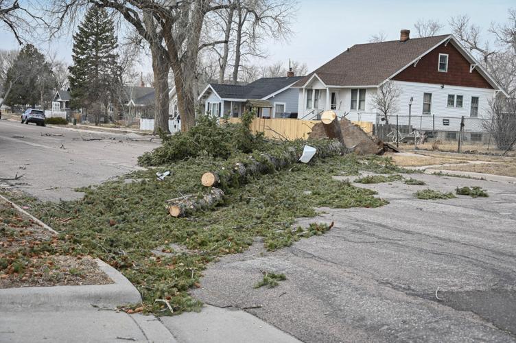 Stormbeaks Severe wind storm breaks record and windows; forecast shows cold snap ...