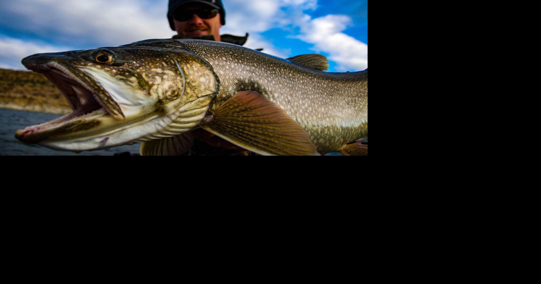 Flaming Fish Derby returns Sports