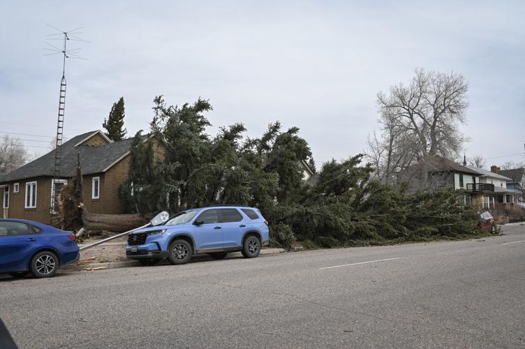 Stormbeaks Severe wind storm breaks record and windows; forecast shows cold snap ...