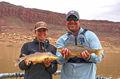 Another rare Colorado River fish pulled back from extinction | From The