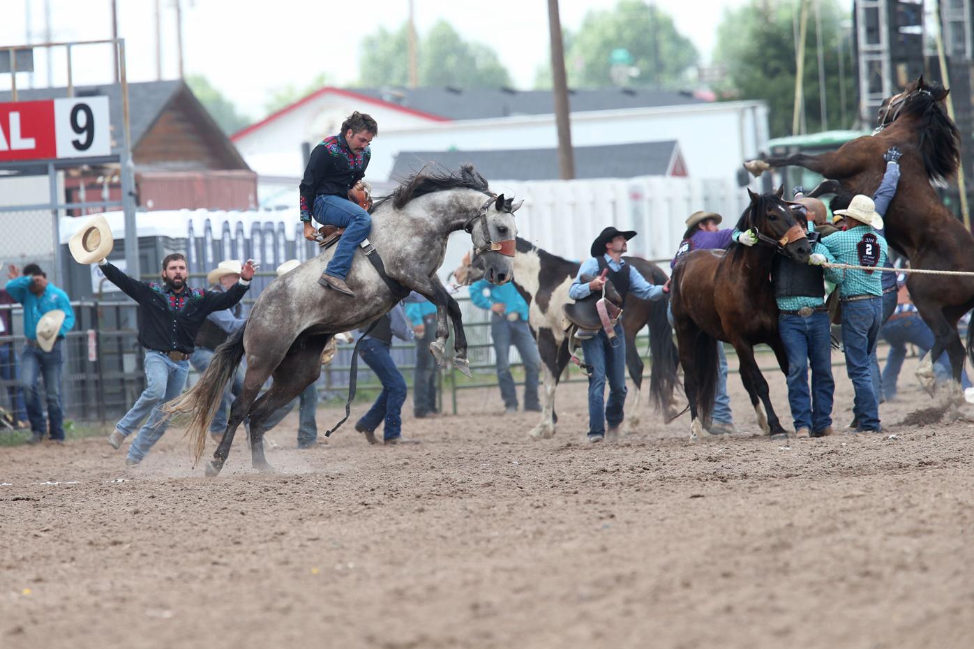 Wild horse racing brings excitement Cheyenne Frontier Days