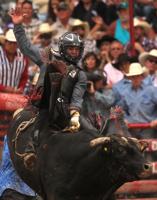 Ruger Piva rolls into CFD finals 4th in bull riding