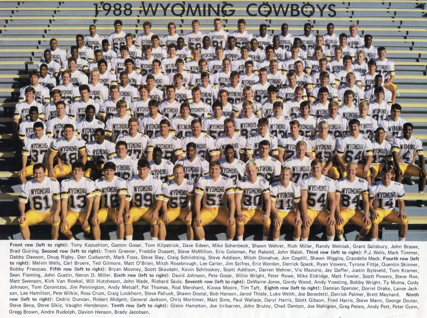 wyoming football team