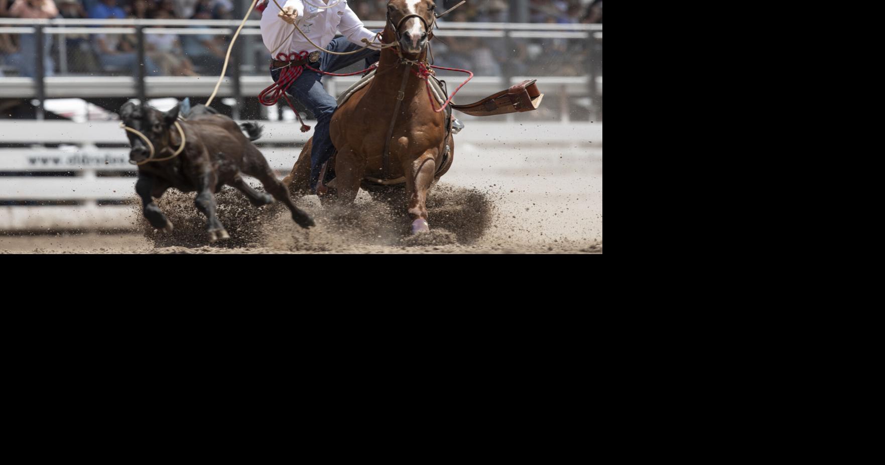 Cheyenne Frontier Days Rodeo, Saturday, July 20, 2024 | Gallery ...