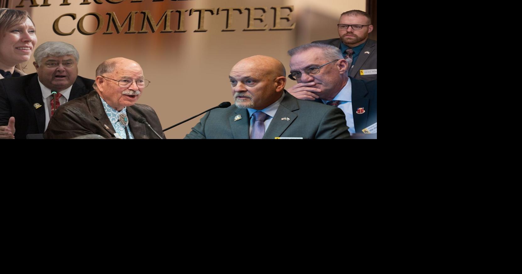 Lawmakers advance bill to dismantle Wyoming Business Council despite governor’s office objections | Rawlins Times